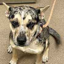 Thumbnail photo of Sparkle #1