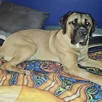 Thumbnail photo of Xzyna (Xena) #3