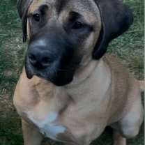 Thumbnail photo of Xzyna (Xena) #2