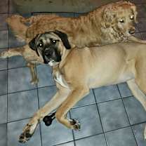 Thumbnail photo of Xzyna (Xena) #4