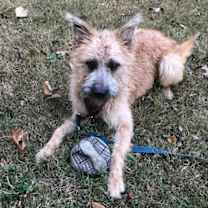 Thumbnail photo of Skippy #1