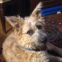 Thumbnail photo of Skippy #2