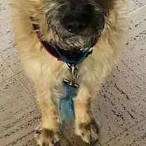 Thumbnail photo of Skippy #3