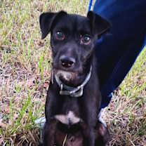 Thumbnail photo of Larshan #1