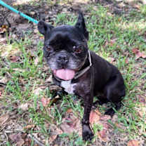 Thumbnail photo of Joyanna #1