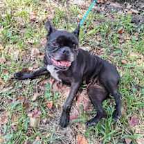 Thumbnail photo of Joyanna #2