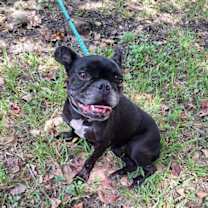 Thumbnail photo of Joyanna #3