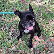 Thumbnail photo of Joyanna #4