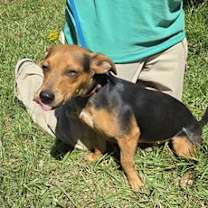 Thumbnail photo of Jerino #4