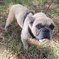 Thumbnail photo of Jathino #1