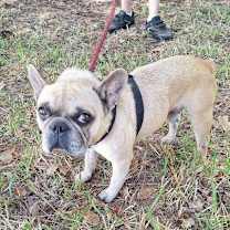 Thumbnail photo of Jathino #2