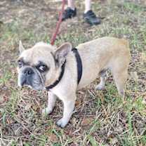 Thumbnail photo of Jathino #3