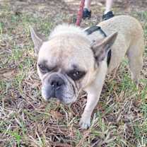 Thumbnail photo of Jathino #4