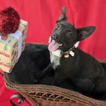 Thumbnail photo of Fathima #1