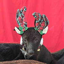 Thumbnail photo of Fathima #2