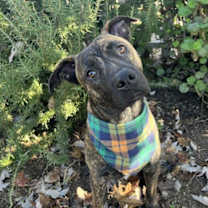 Thumbnail photo of Oso #1