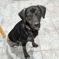 Thumbnail photo of Tilly #1