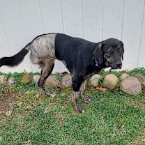 Thumbnail photo of Tilly #3