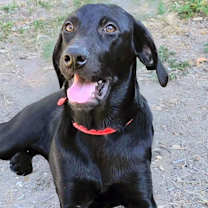 Thumbnail photo of Maya #4