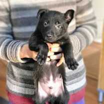 Thumbnail photo of Coltrane #3