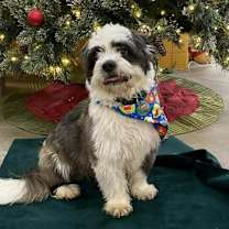 Milo- By Appointment Only