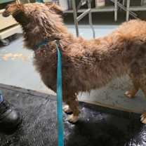 Thumbnail photo of Tater #3