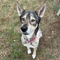 Thumbnail photo of Luna #2