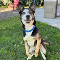 Thumbnail photo of Bread #3