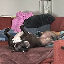 Thumbnail photo of Freya #4