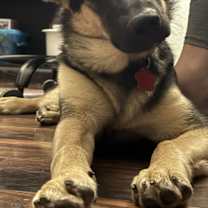 Thumbnail photo of Cleopatra #3