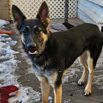 Thumbnail photo of Blueberry Jam #3