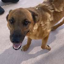 Thumbnail photo of Stella #3