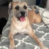 Thumbnail photo of Tullia #1