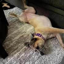 Thumbnail photo of Tullia #2