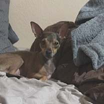 Thumbnail photo of Roo #2