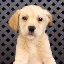 Thumbnail photo of Fannie #1