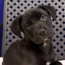 Thumbnail photo of Faye #1