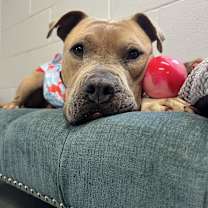 Thumbnail photo of Mateo #2