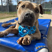 Thumbnail photo of Mateo #3