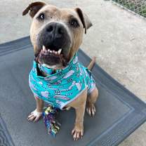 Thumbnail photo of Mateo #4