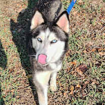 Thumbnail photo of Mishka JuM #3