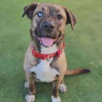 Thumbnail photo of Luna #1