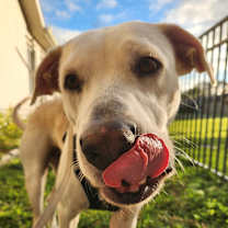 Thumbnail photo of Jake #3