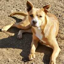 Thumbnail photo of Mila (Fat Mama) #1