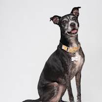 Thumbnail photo of Lilly Mae #1