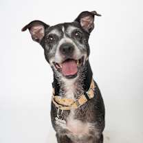 Thumbnail photo of Lilly Mae #2