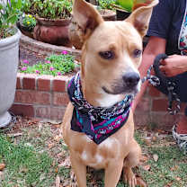 Thumbnail photo of Mila (Fat Mama) #3