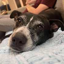 Thumbnail photo of Lilly Mae #3