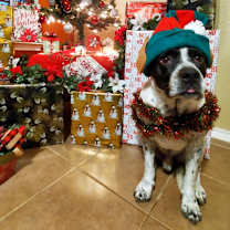 Thumbnail photo of Mylo Smith #4