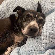 Thumbnail photo of Lilly Mae #4